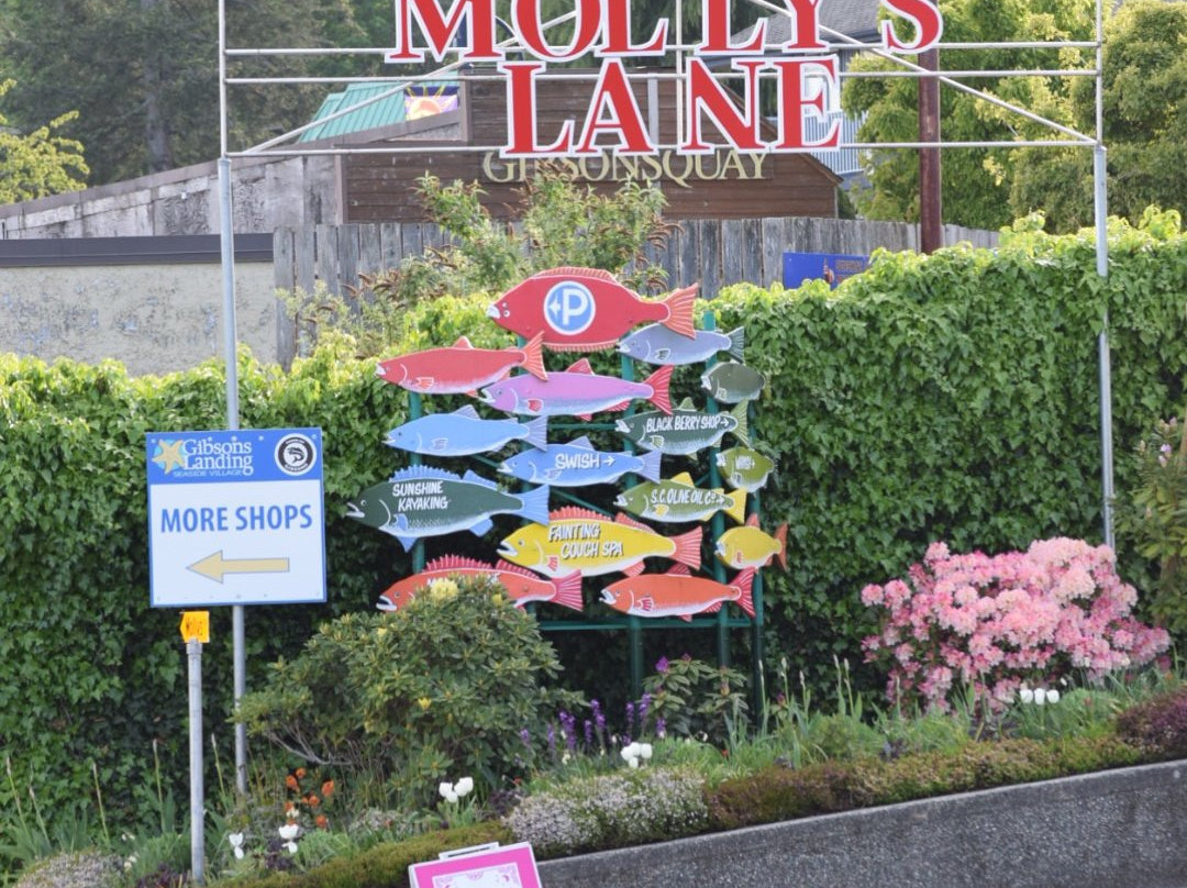 Gibsons Visitor Centre-吉布森斯必去景点