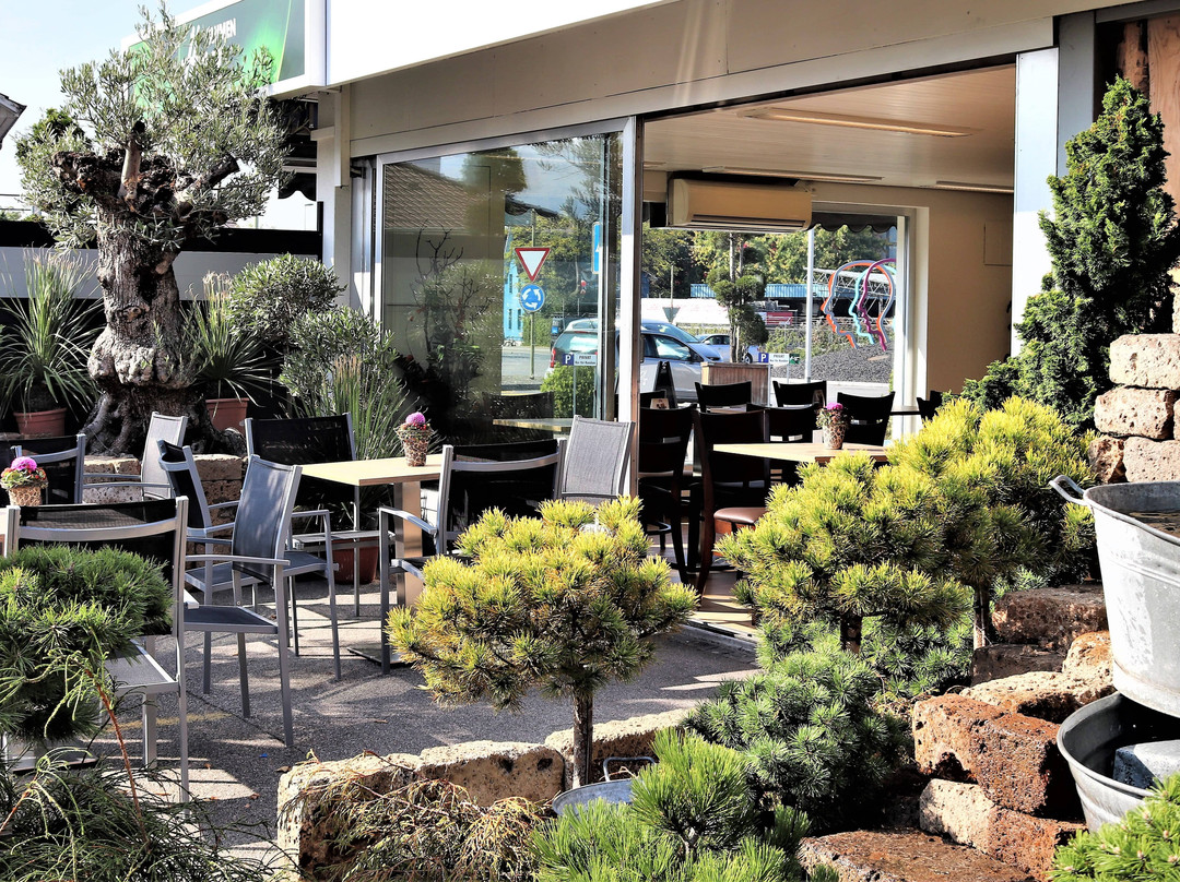 Pratteln餐馆和美食-Restaurant Blumen Hug Bistro