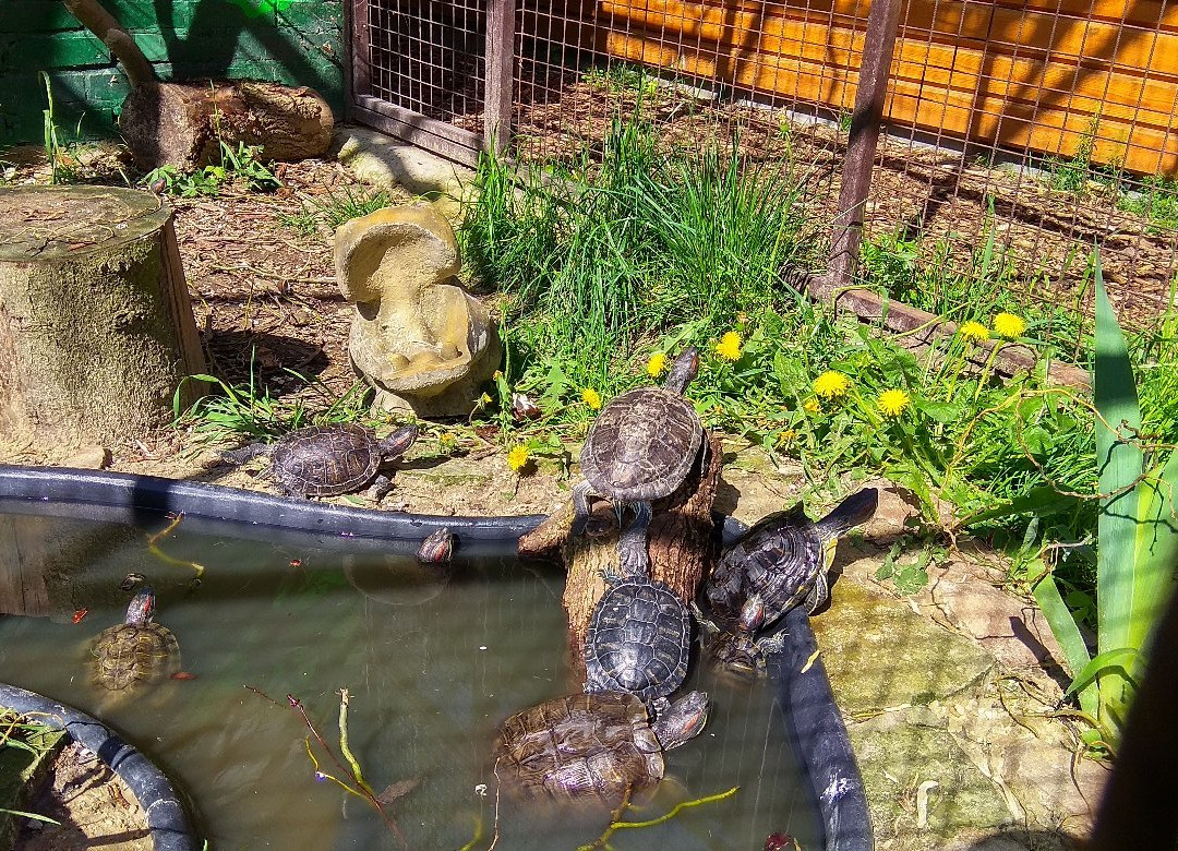 Lutsk Zoo-Lutsk必去景点