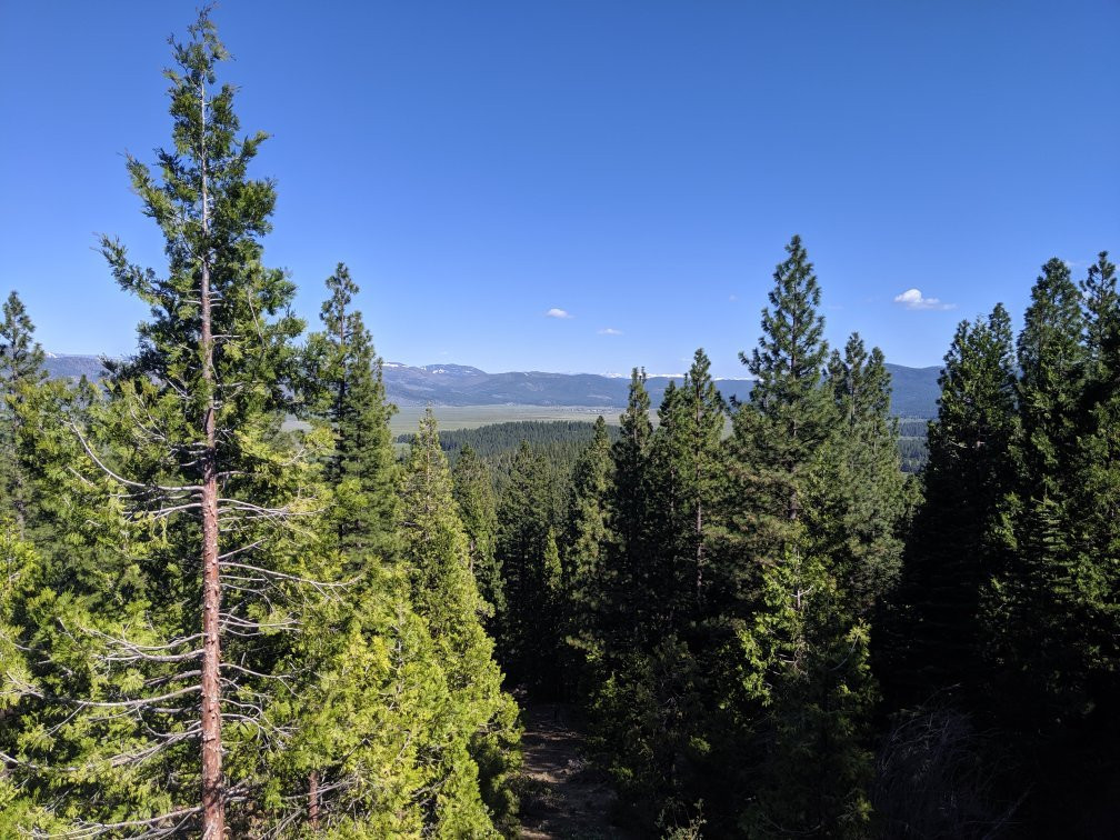 Tahoe National Forest-Downieville必去景点