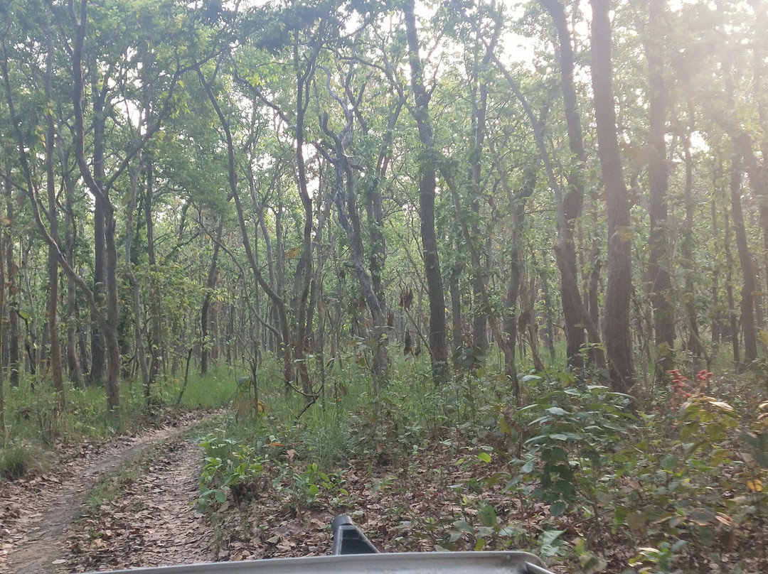 Pilibhit Tiger Reserve景点图片