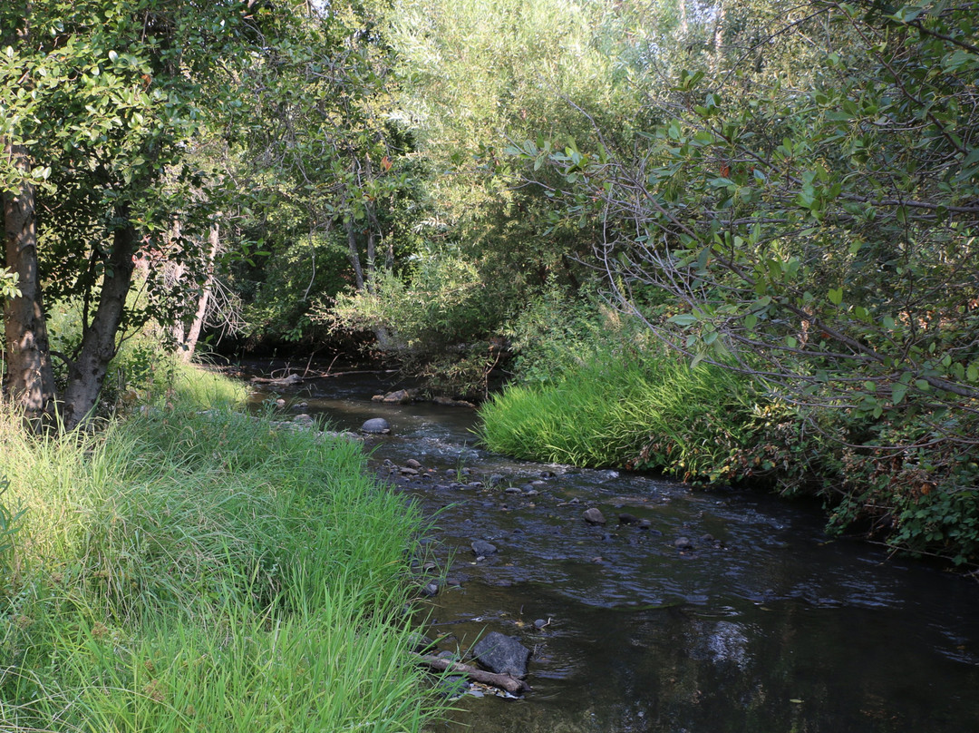 Miners Ravine Trail Loop景点图片