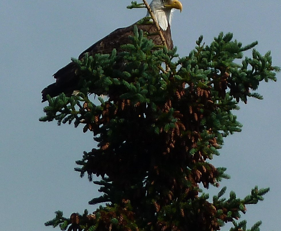 A B&b By The River主图