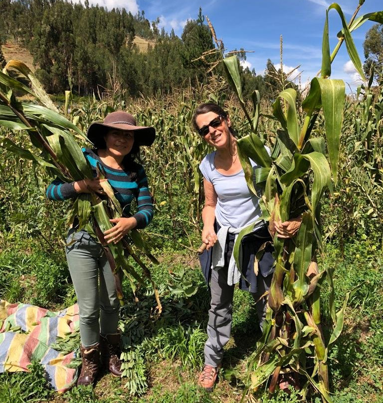 Pachamama Hospedaje & Restaurante