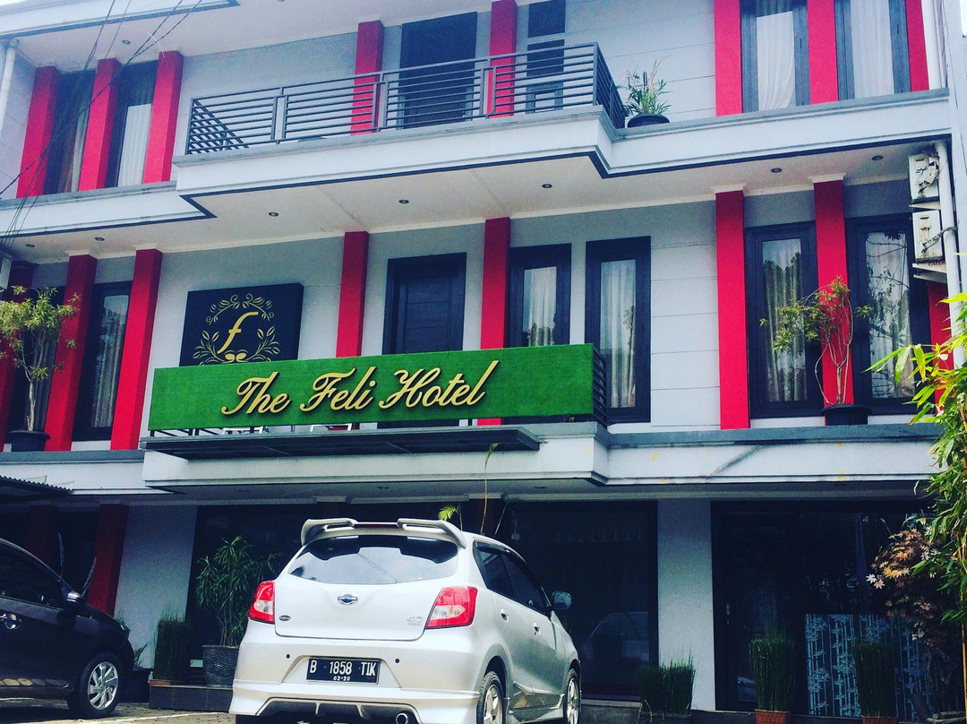 The Feli Hotel主图