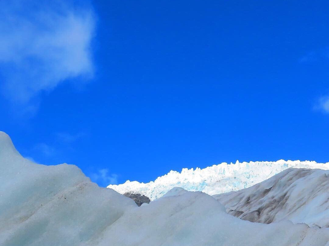 弗朗兹约瑟夫冰川之旅景点图片