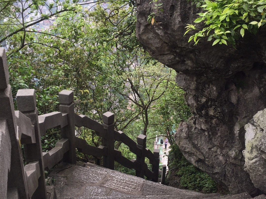 鱼峰山景点图片