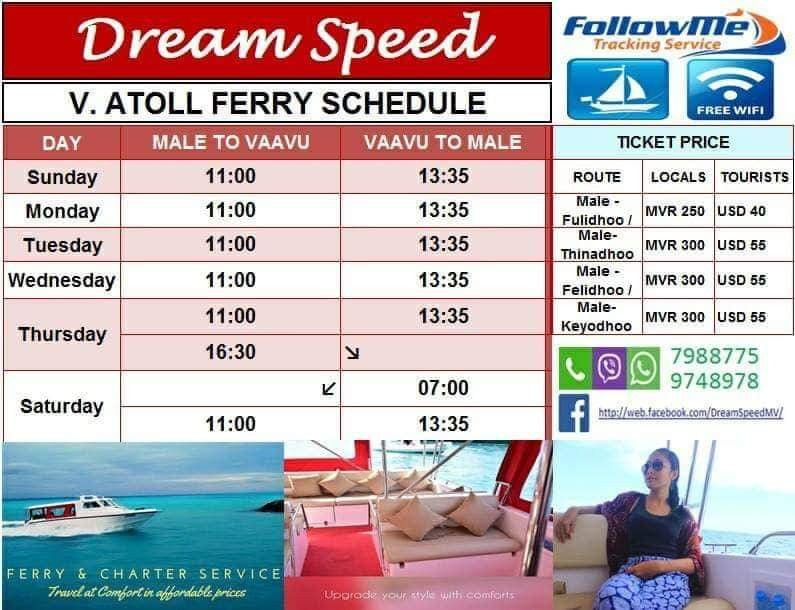 Dream Speed景点图片