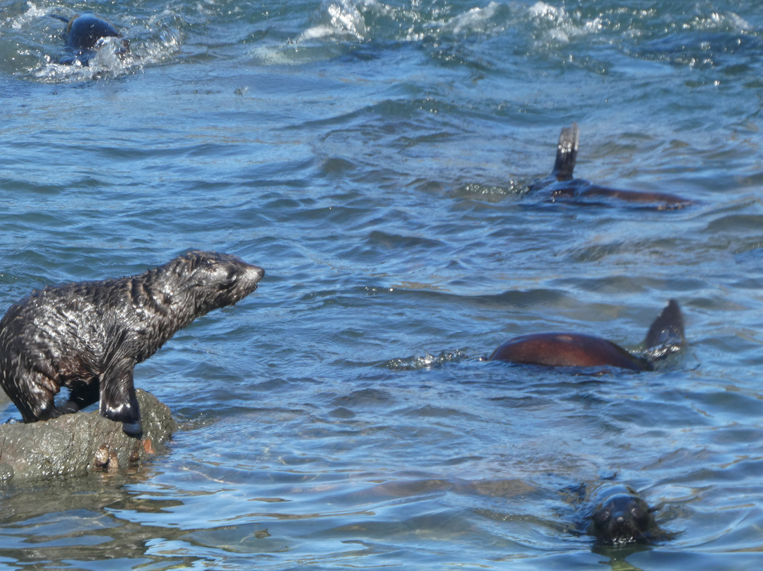 New Zealand I Drive-莫图伊卡必去景点
