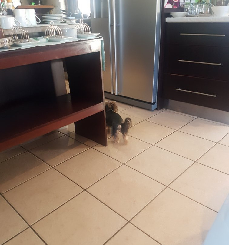 Greenwood Villa主图