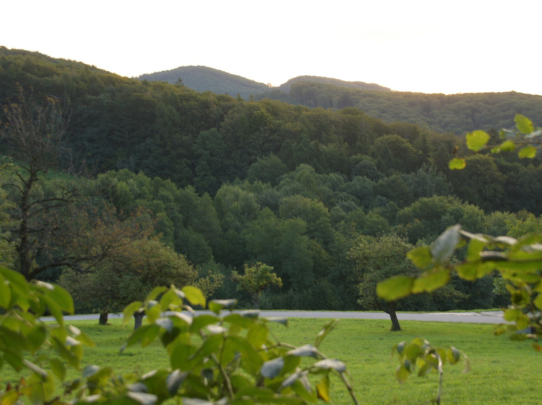 Biosphärenpark Wienerwald-Tullnerbach必去景点