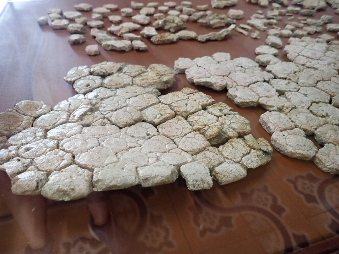 Museo Paleontologico-Villavieja必去景点