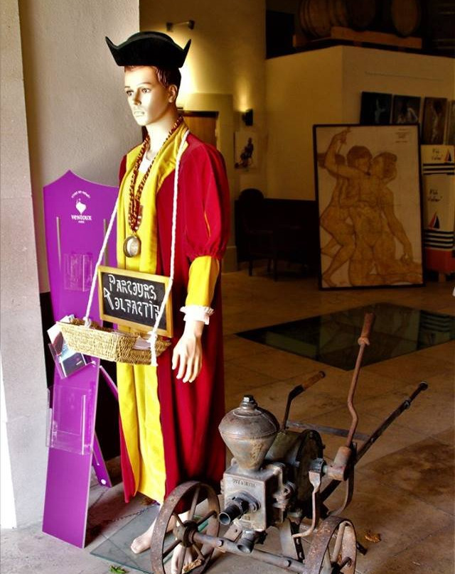 Arnoux et Fils Vignerons景点图片