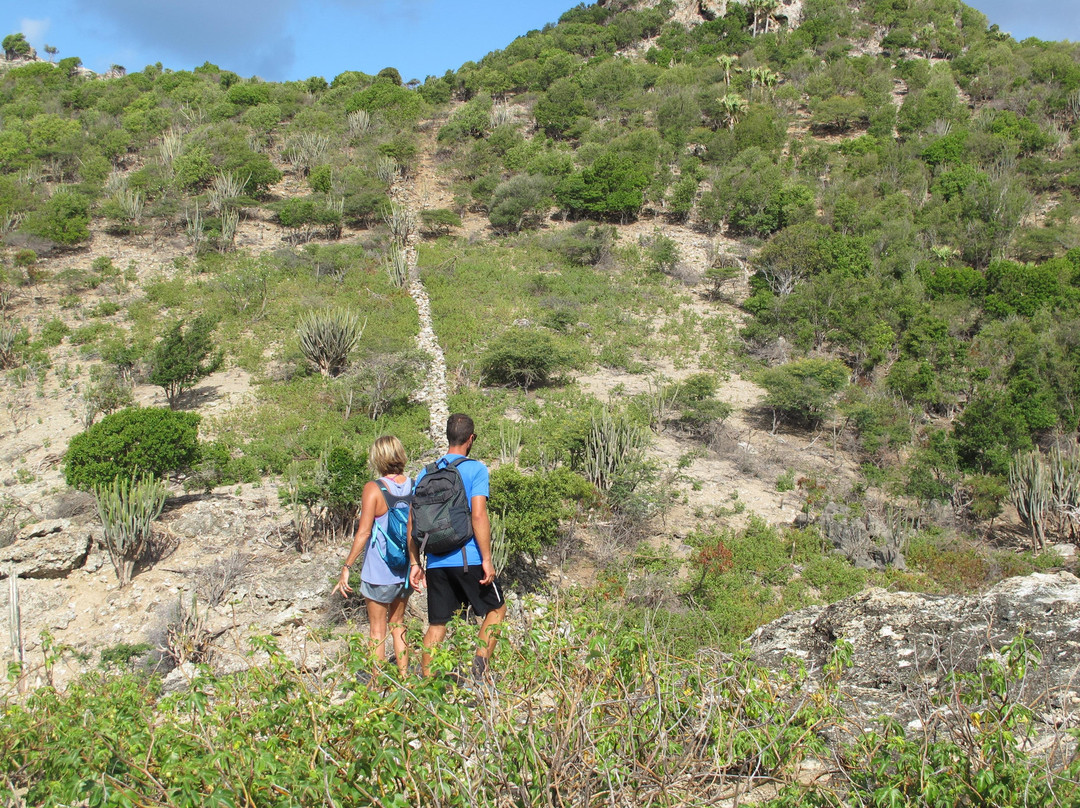 BODY+SOUL St Barth-居斯塔维亚必去景点