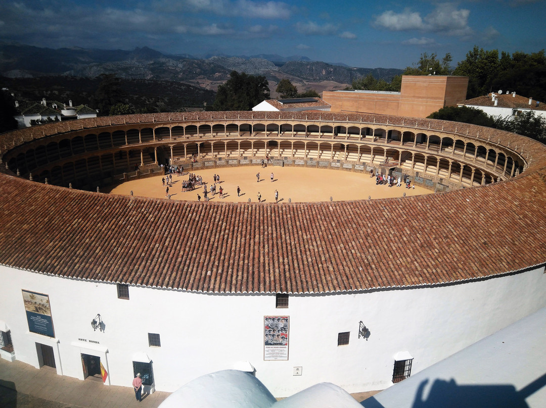Tours in Malaga-马拉加必去景点