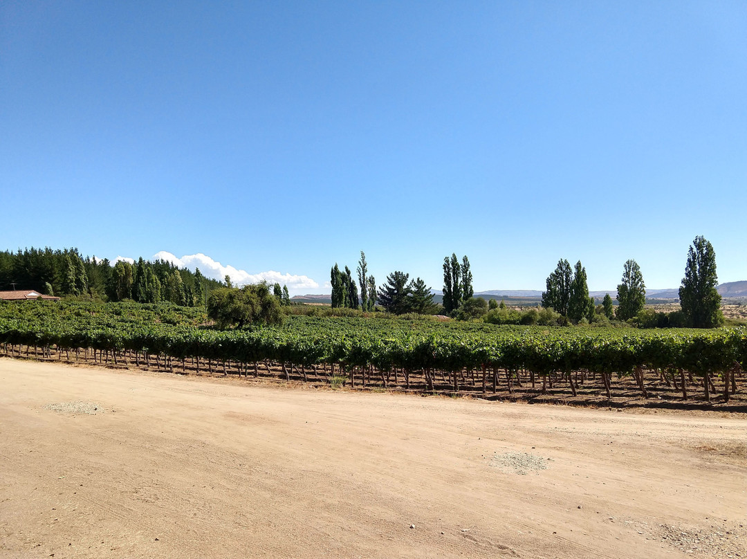 Casa Bouchon Hotel Boutique主图