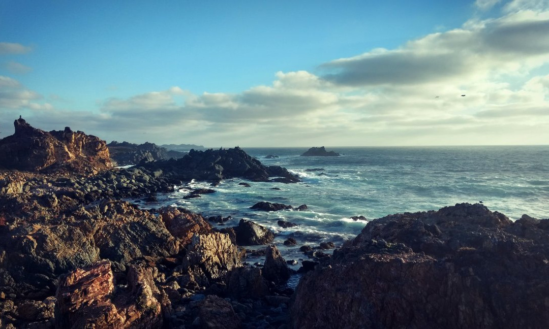 Pichidangui旅游攻略图片