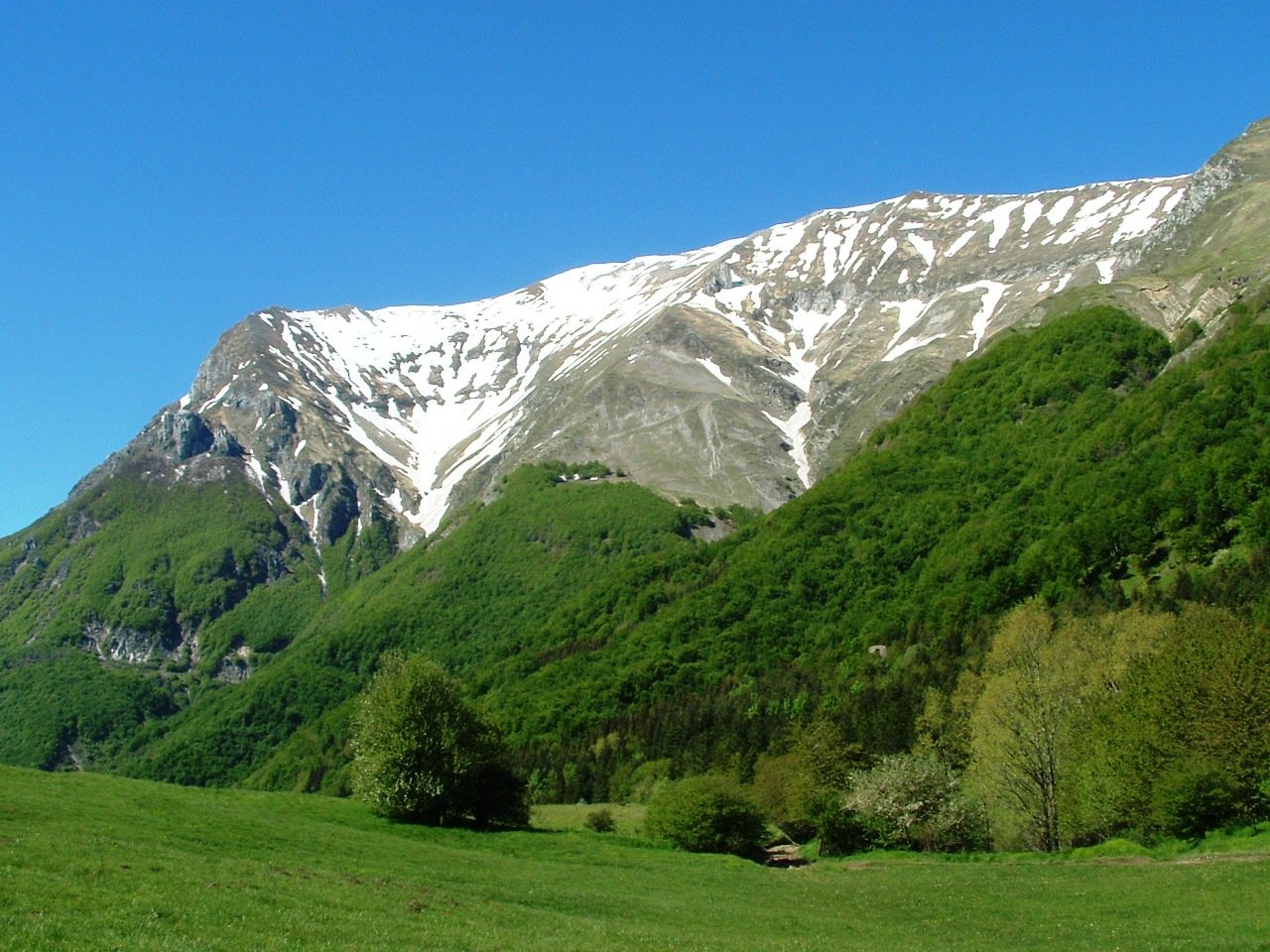 Le Rondini-官方