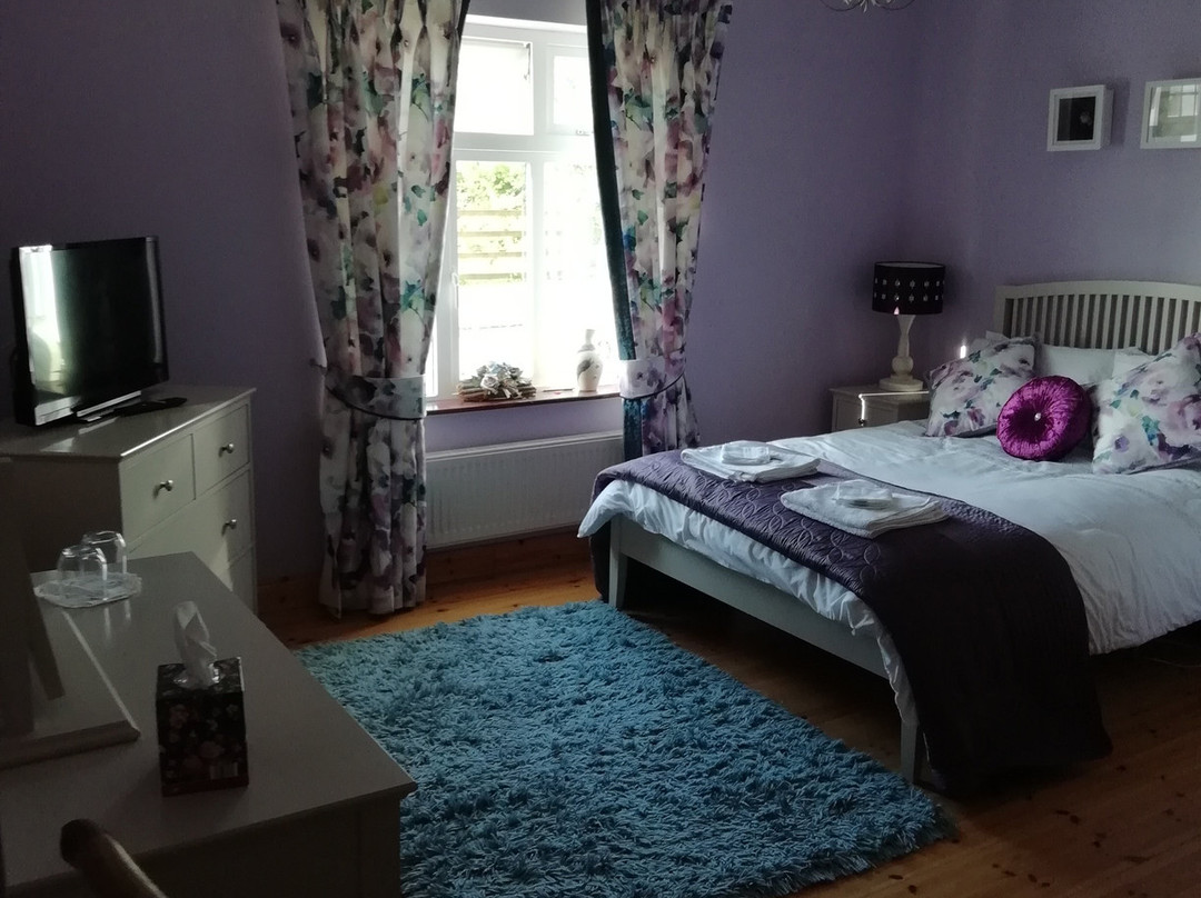 Tig na Coille B&B Country House主图