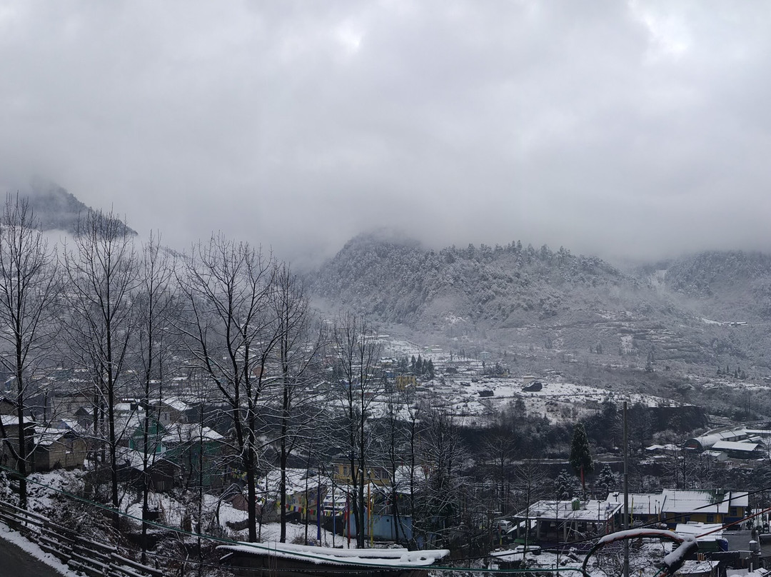 Summit Alpine Resort主图