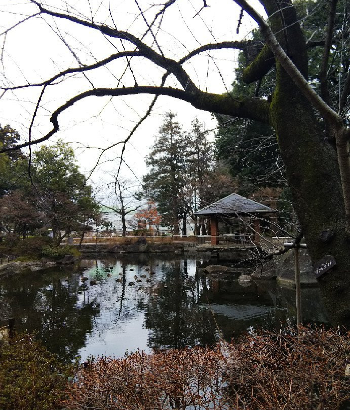 Sanshinomori Park-杉并区必去景点