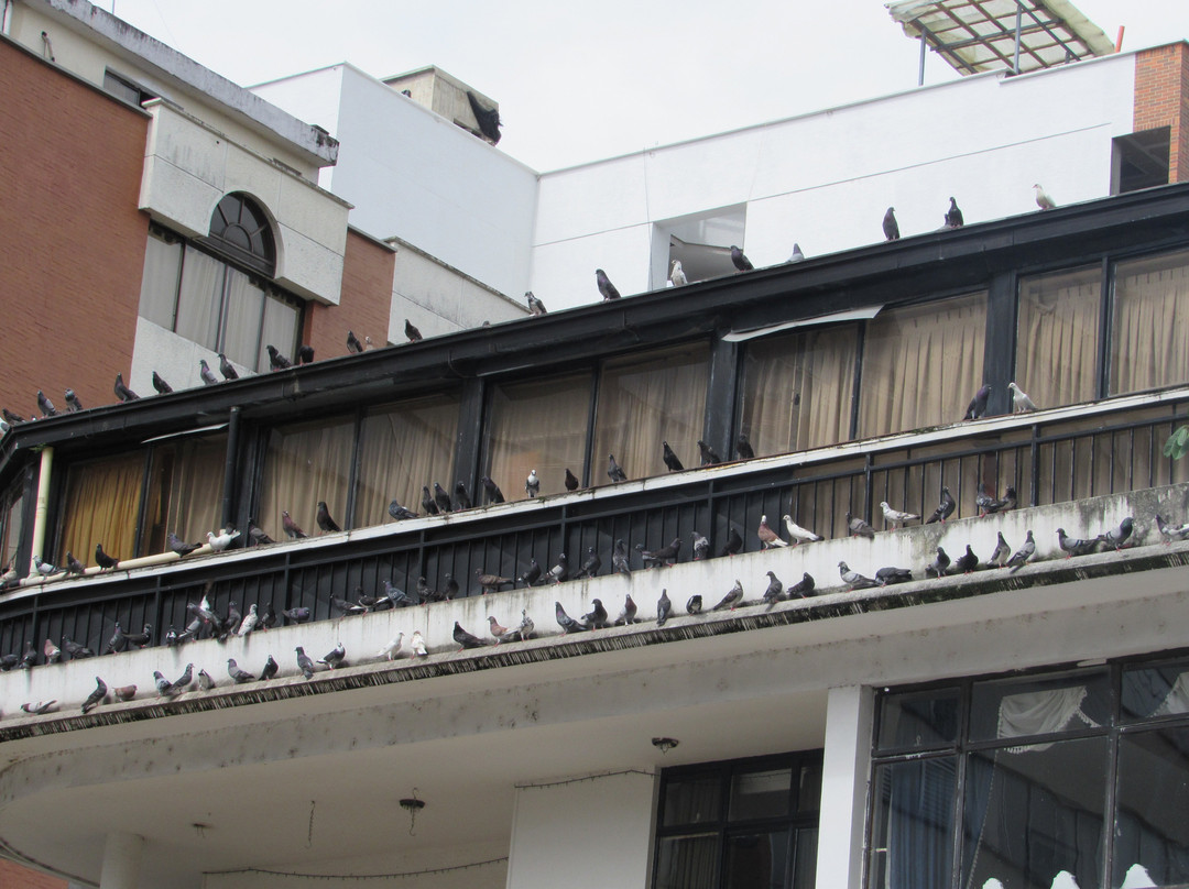 Plaza de Bolivar-亚美尼亚必去景点