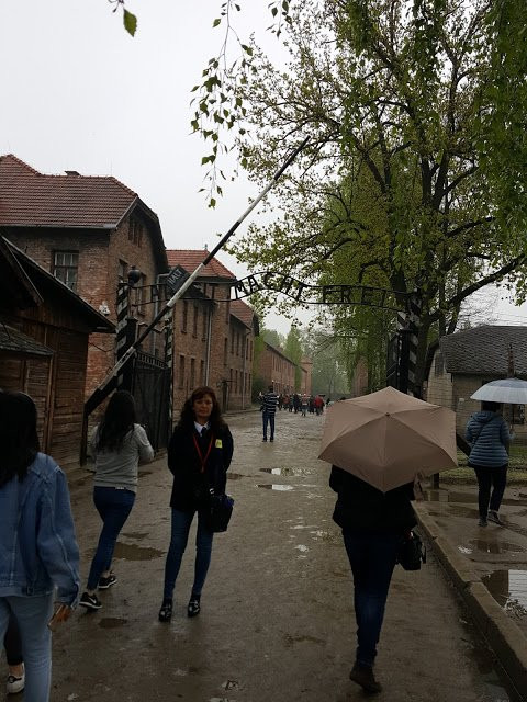 Krakow Auschwitz - Tours-克拉科夫必去景点