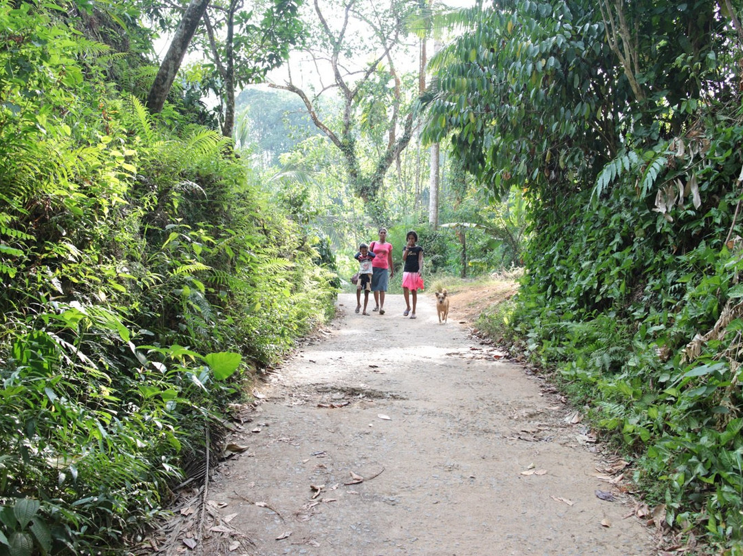 Duara Travels Neluwa-Neluwa必去景点