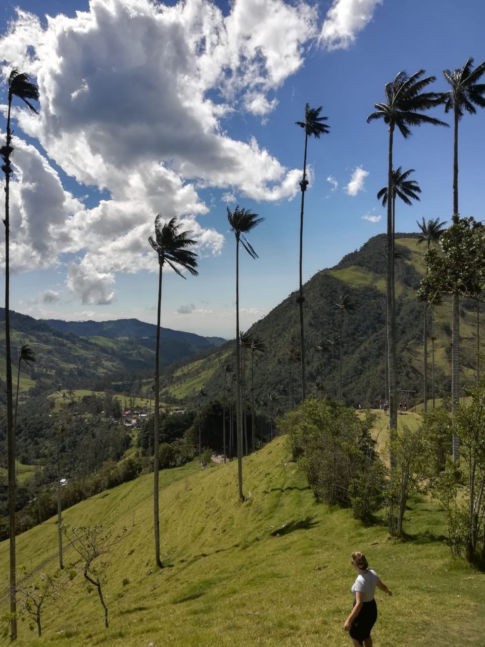 Finca Agroturistica Los Tulipanes-官方