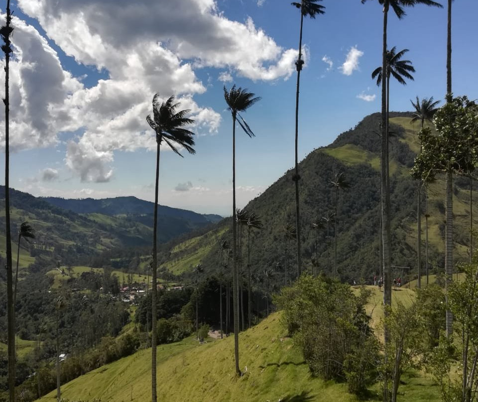 El Paraiso酒店住宿-Finca Agroturistica Los Tulipanes