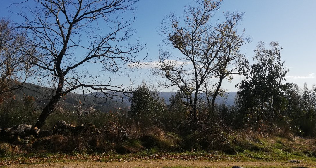 Aldeia do Trebilhadouro景点图片