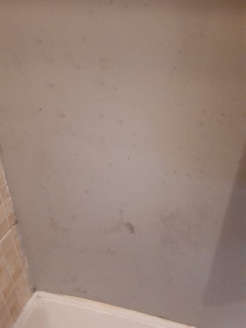 Springfield Guest House-官方