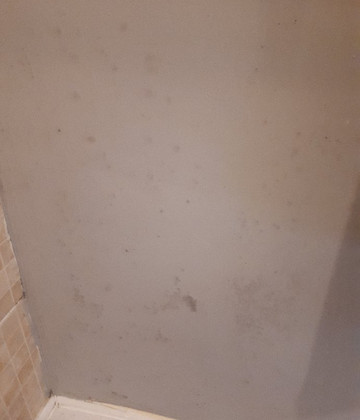 Springfield Guest House主图