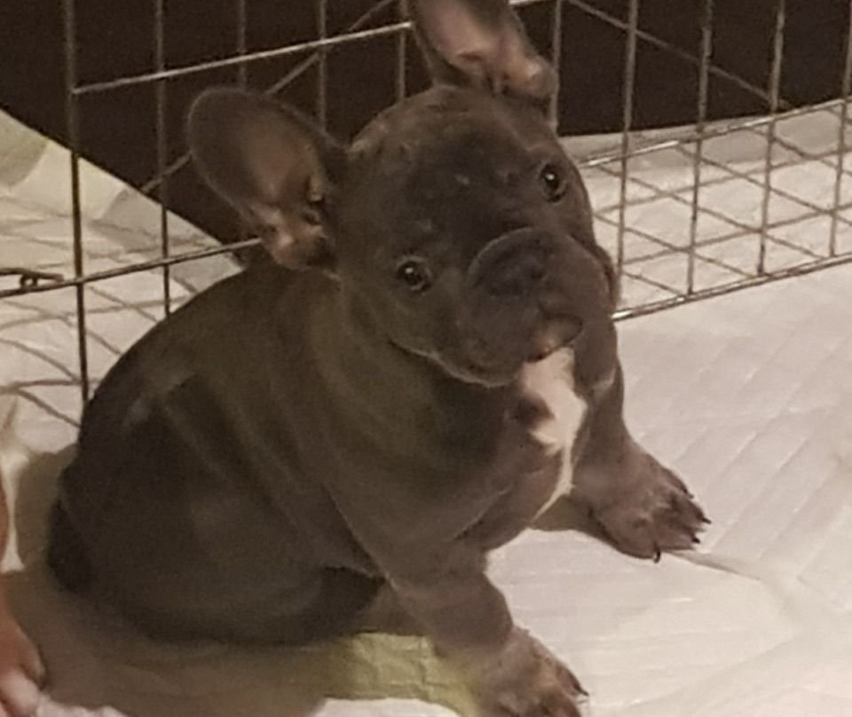 Oman Fjords-海塞卜必去景点