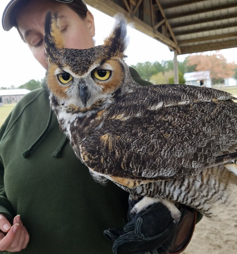 Avian Reconditioning Center-Apopka必去景点