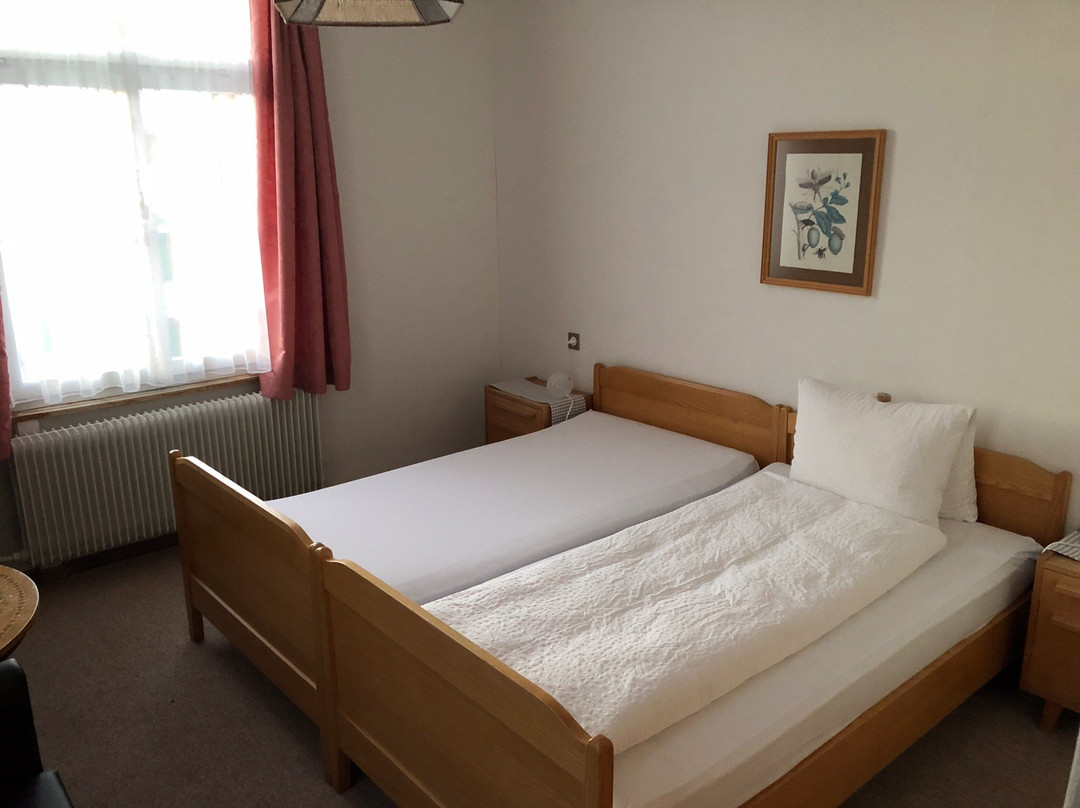 Hotel Krone Gais主图