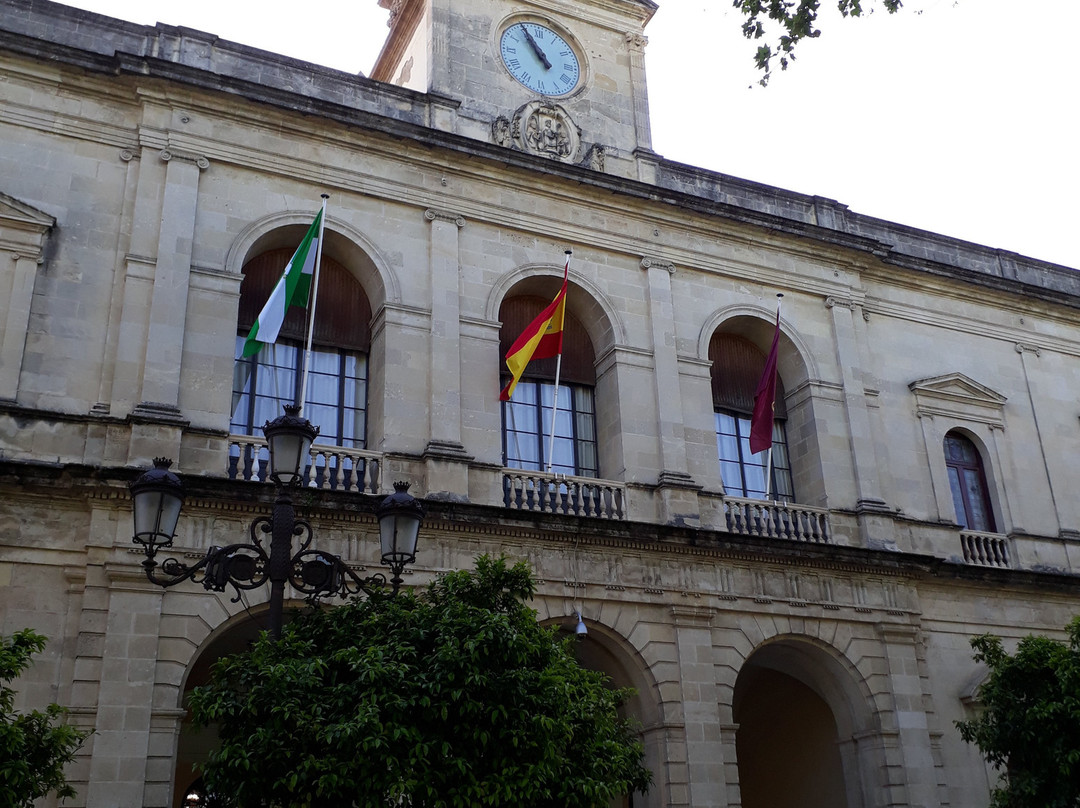 Ayuntamiento (City Hall)景点图片