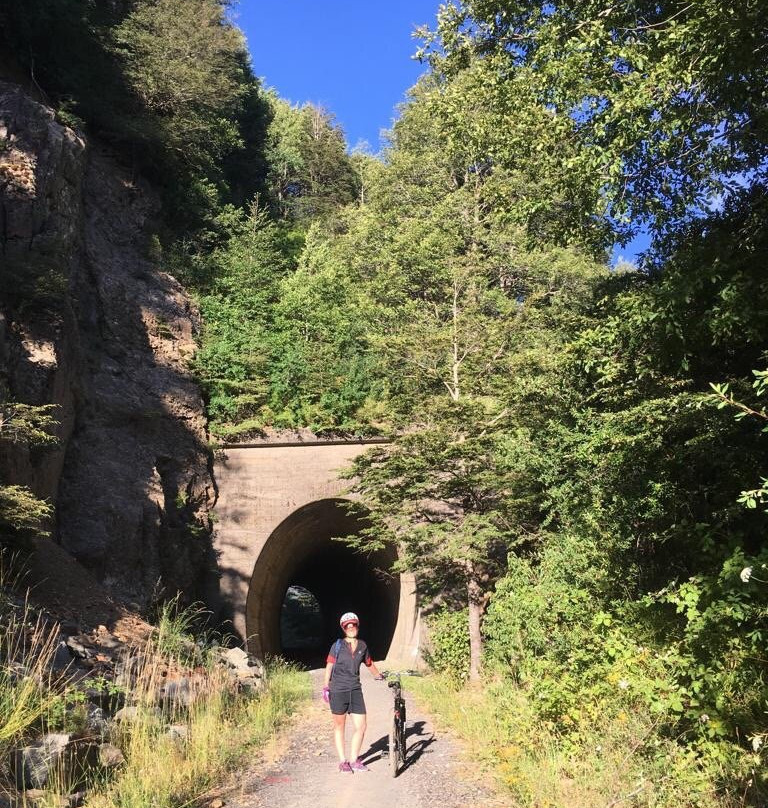 Newenpullu, Hostal y Cabanas主图