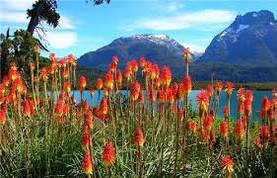 Chef Ricardo's Kitchen-Clyde必去景点