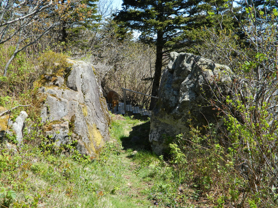 Fundy View Trail-Freeport必去景点