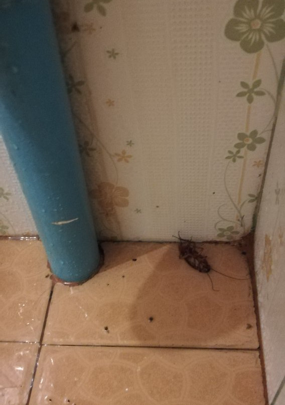 流行乐酒店主图