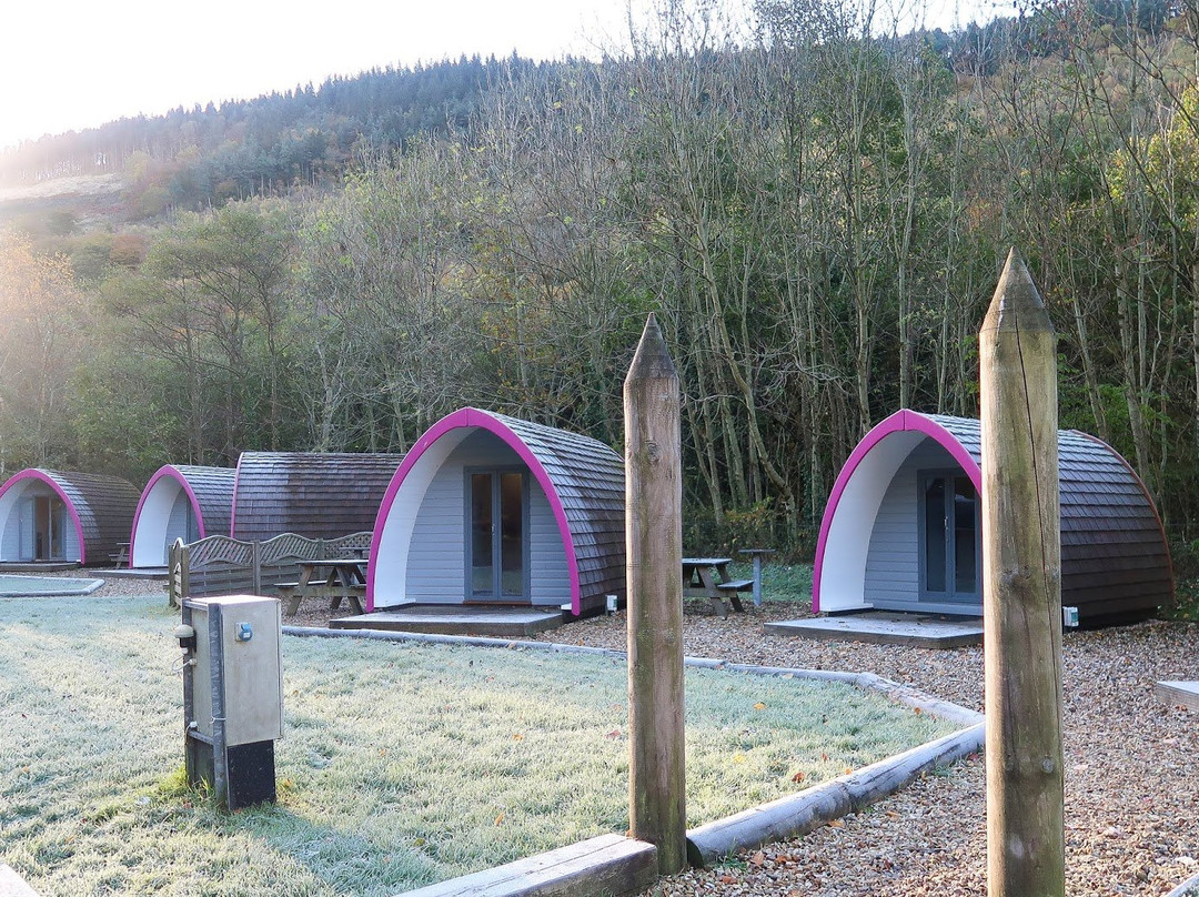 Cwmcarn Forest景点图片