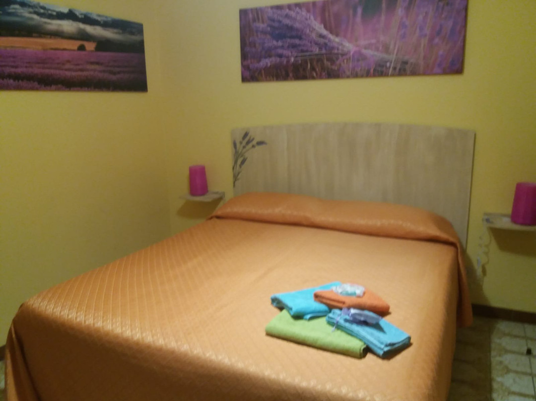 B&B  Spada Reale主图