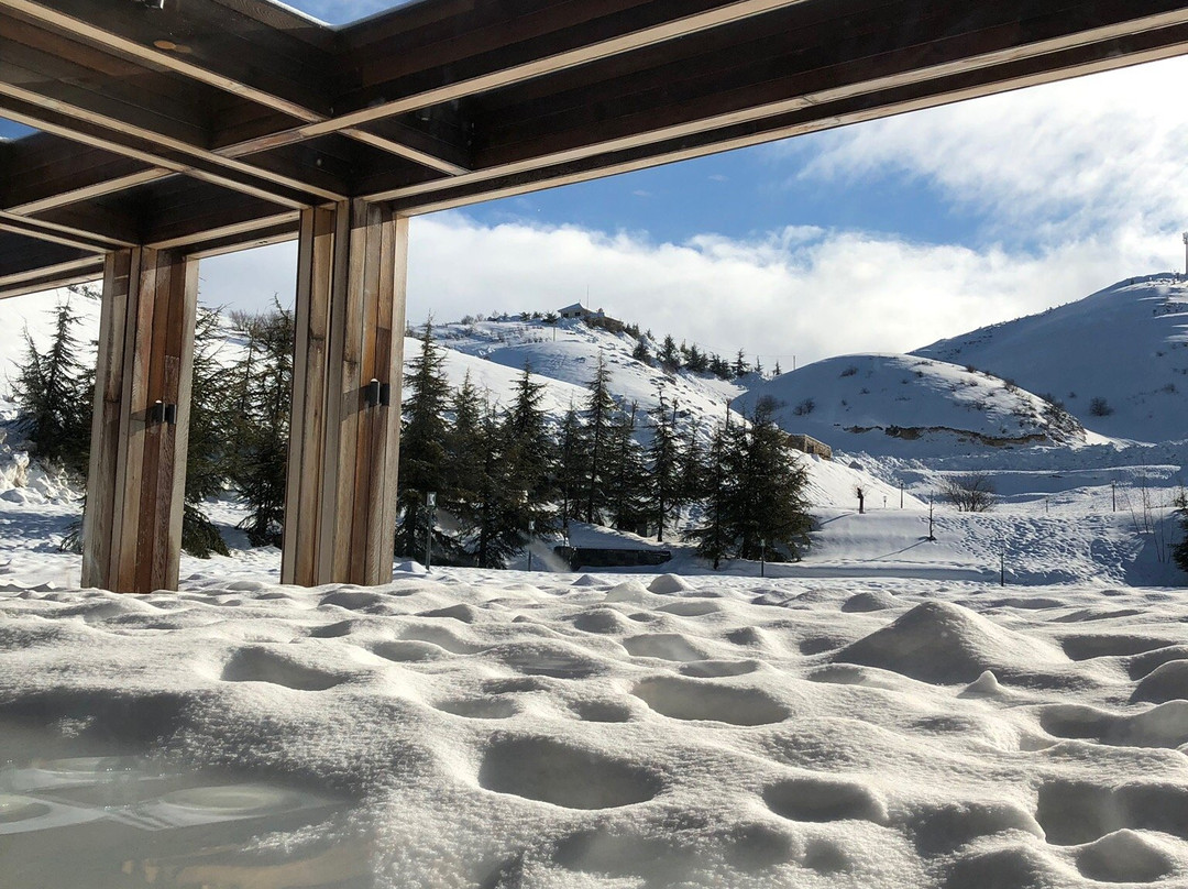 Le Grand Chalet Zaarour主图