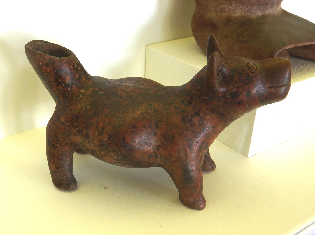 Museo Arqueológico de la Costa Grande景点图片