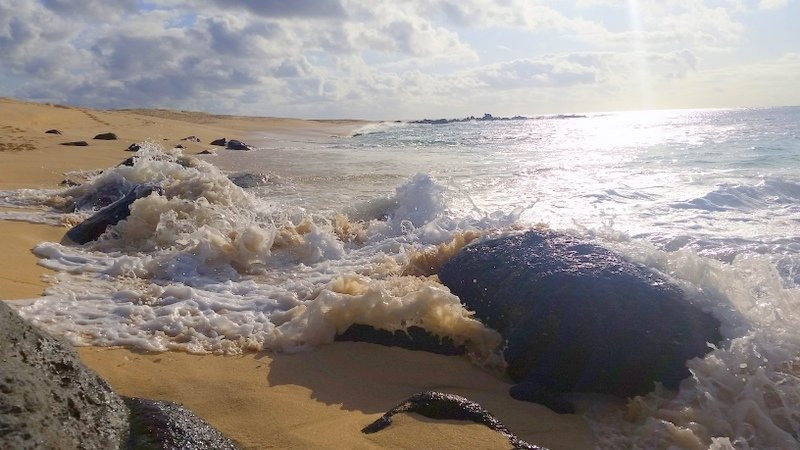 Hannays Beach-Georgetown必去景点