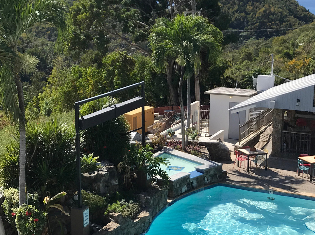 懒鹦鹉酒店主图