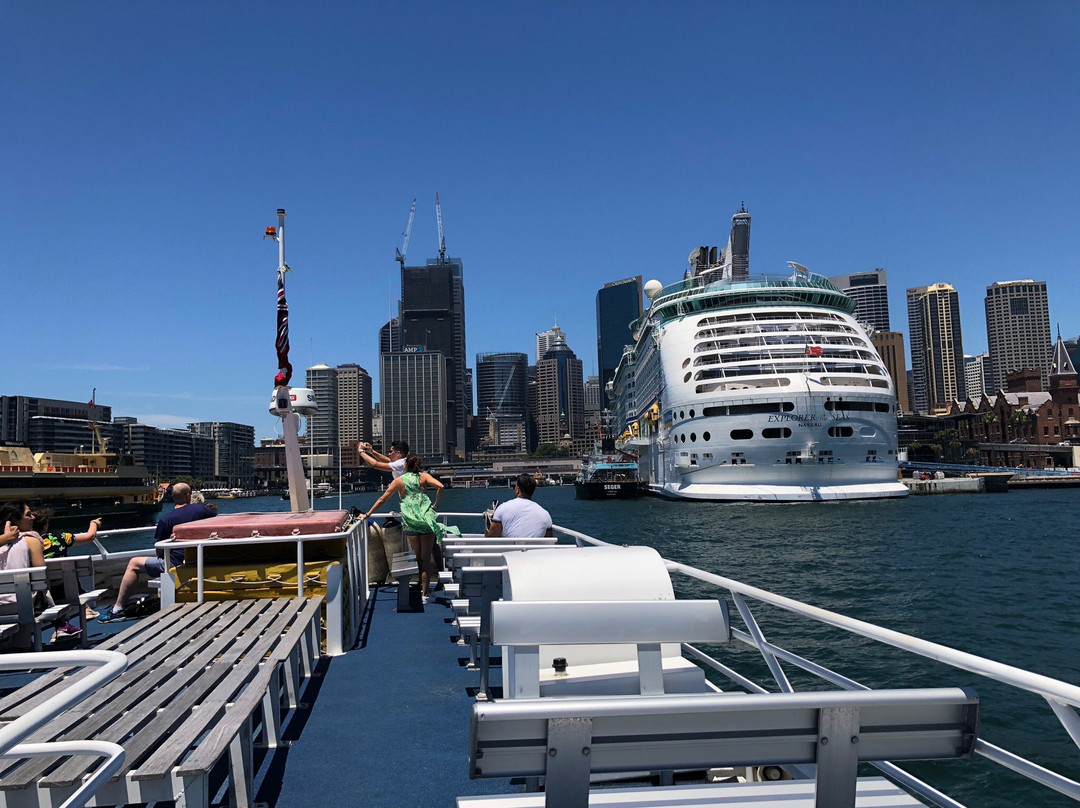 Manly Fast Ferry-曼利议会必去景点