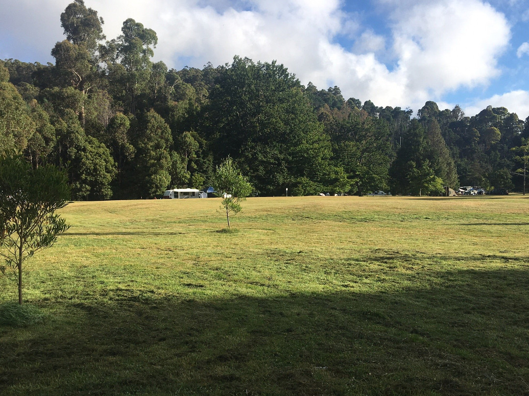 Myrtle Park Recreation Ground景点图片