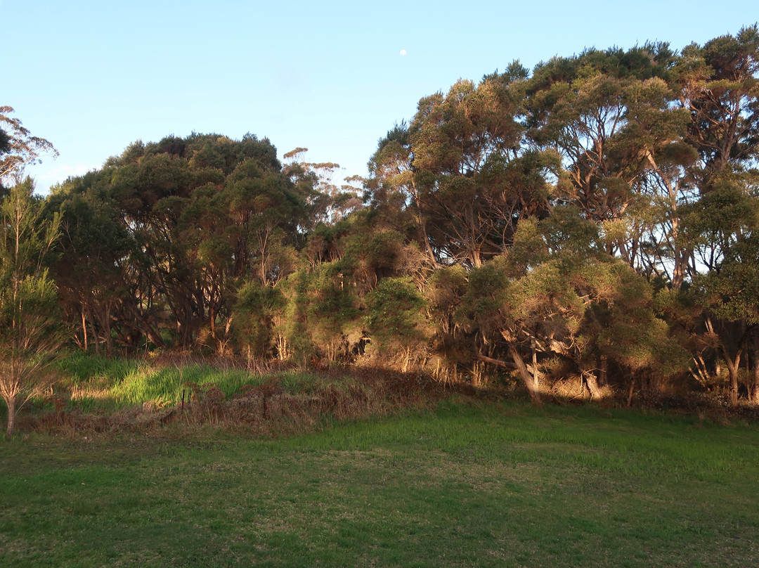 库拉布汽车旅馆主图